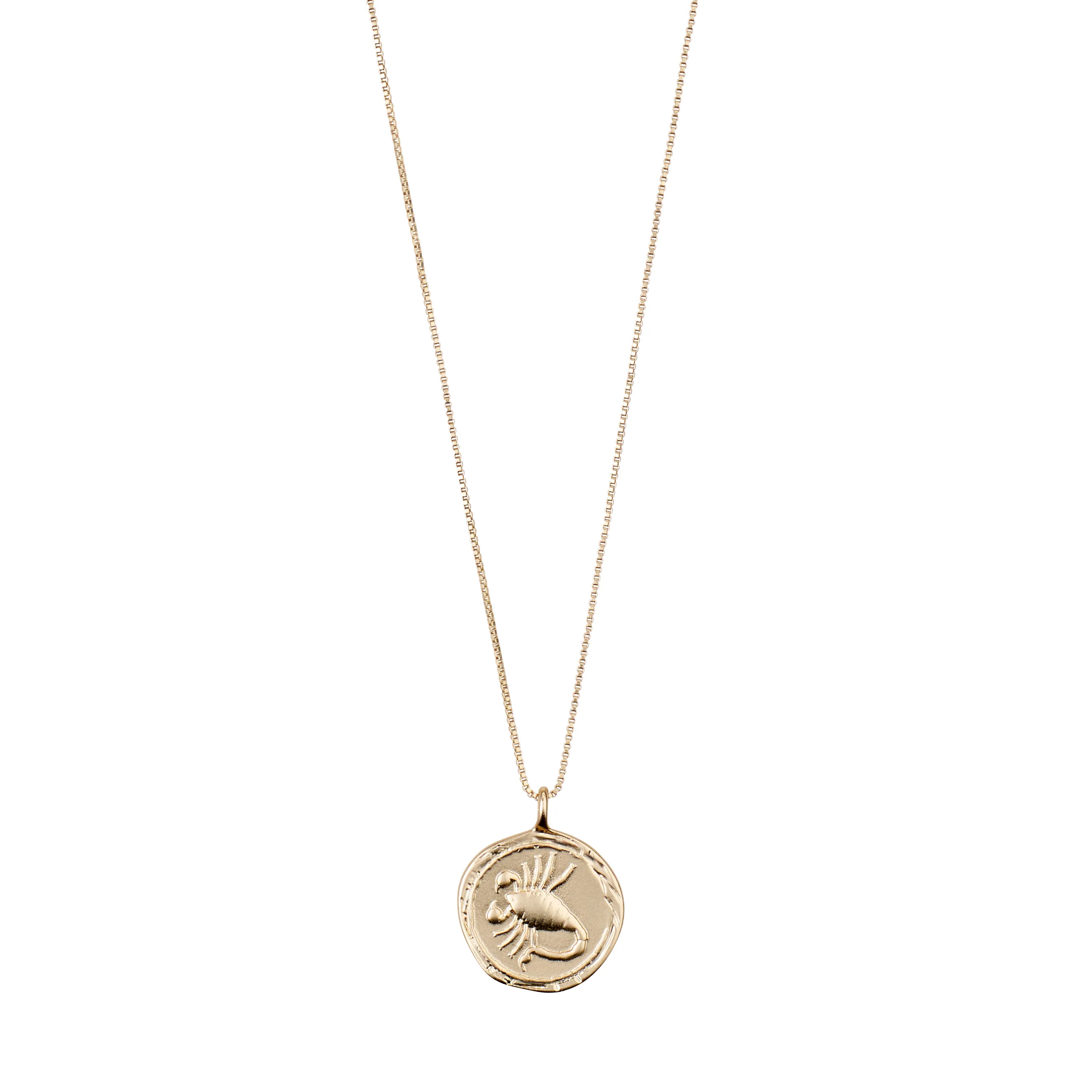 SCORPIO Zodiac Sign Coin Necklace, gold-plated