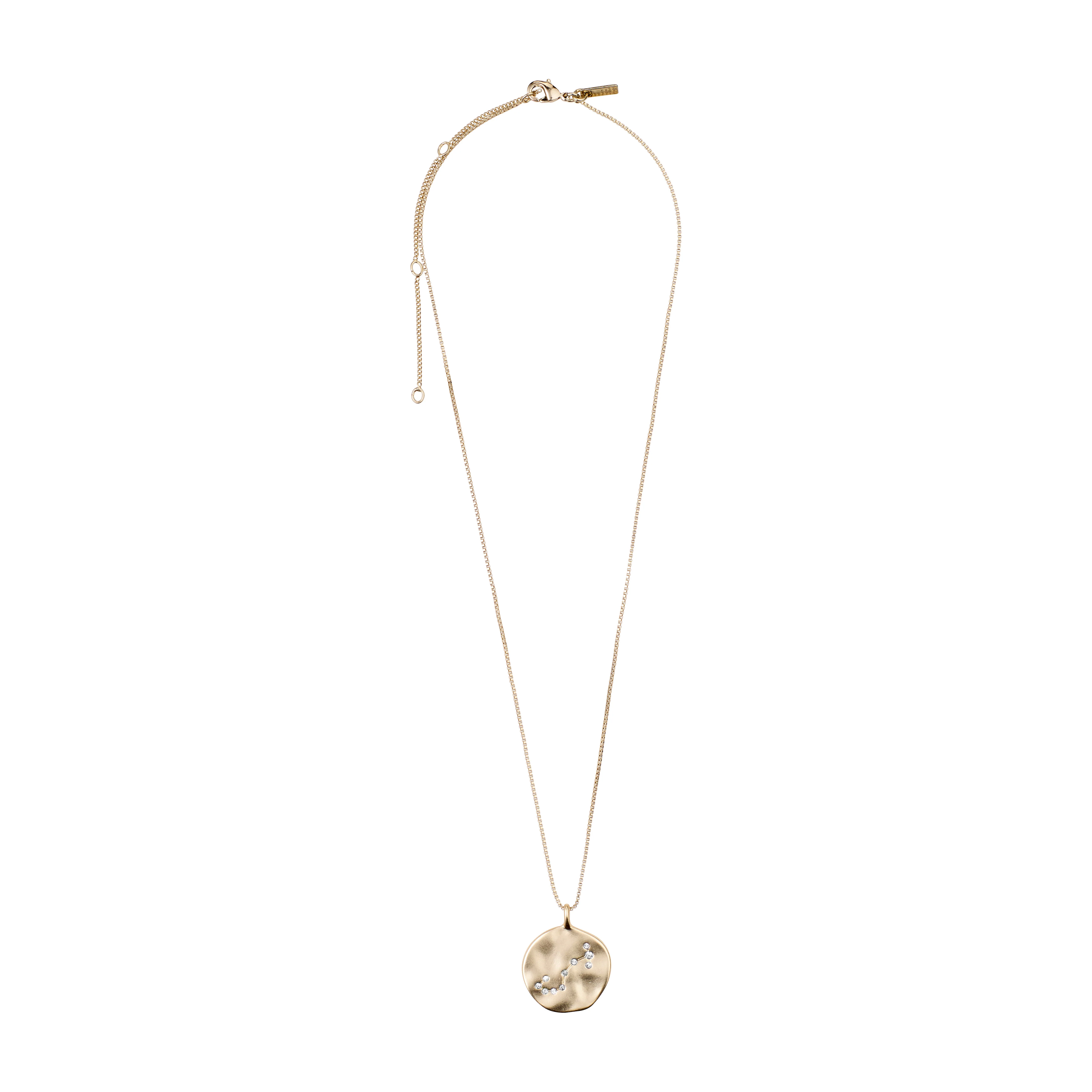 SCORPIO Zodiac Sign Coin Necklace, gold-plated - Image 6