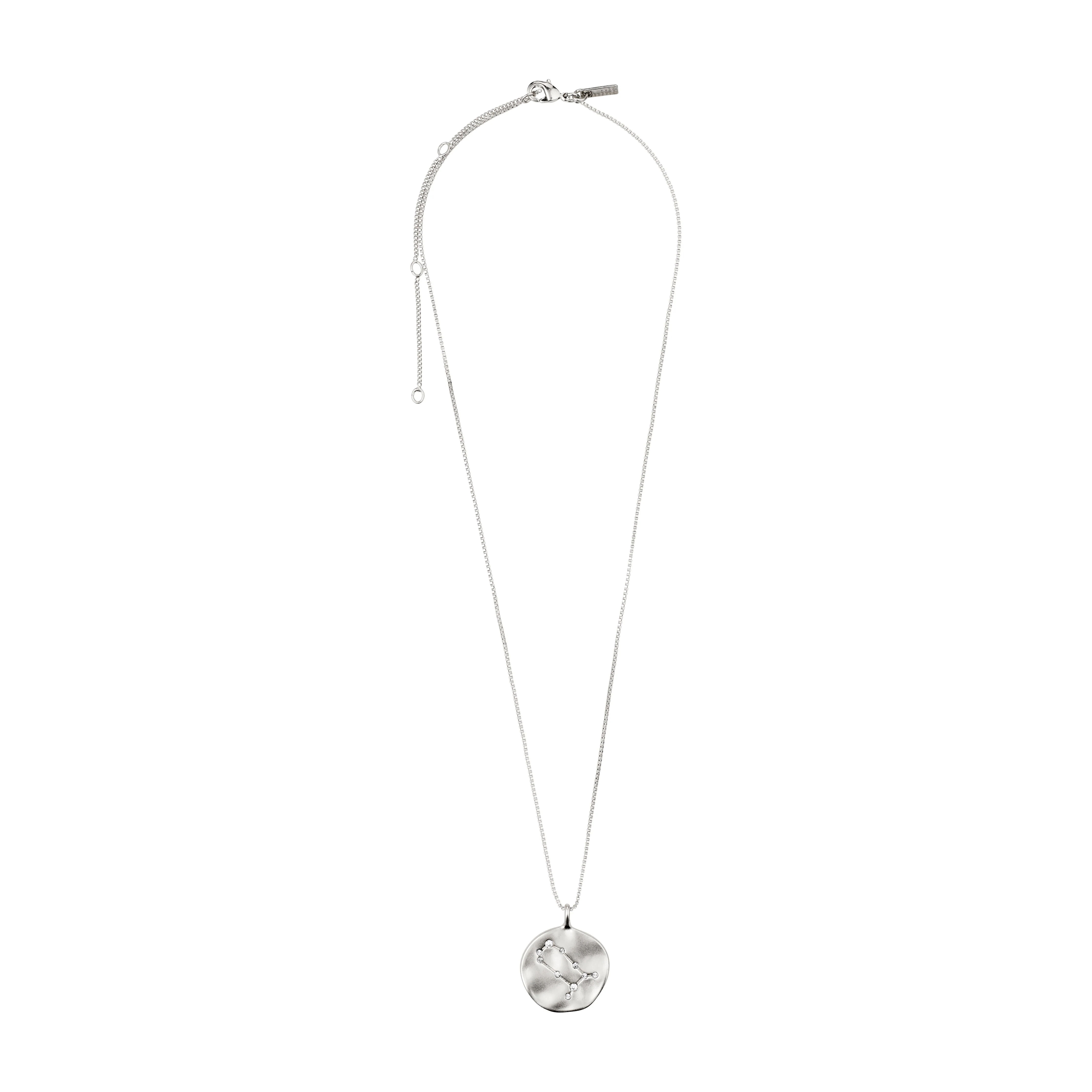 GEMINI Zodiac Sign Coin Necklace, silver-plated - Image 6