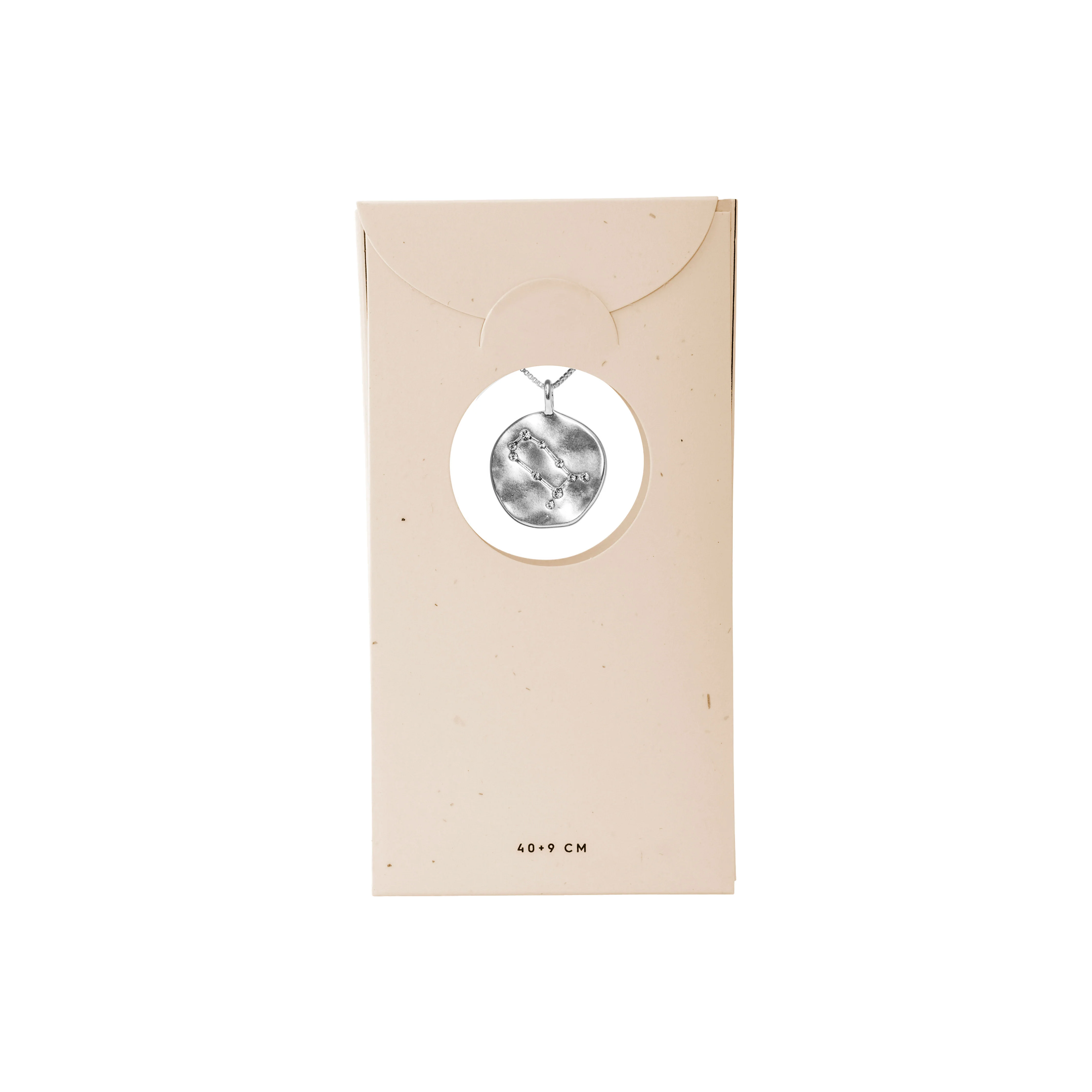 GEMINI Zodiac Sign Coin Necklace, silver-plated - Image 8