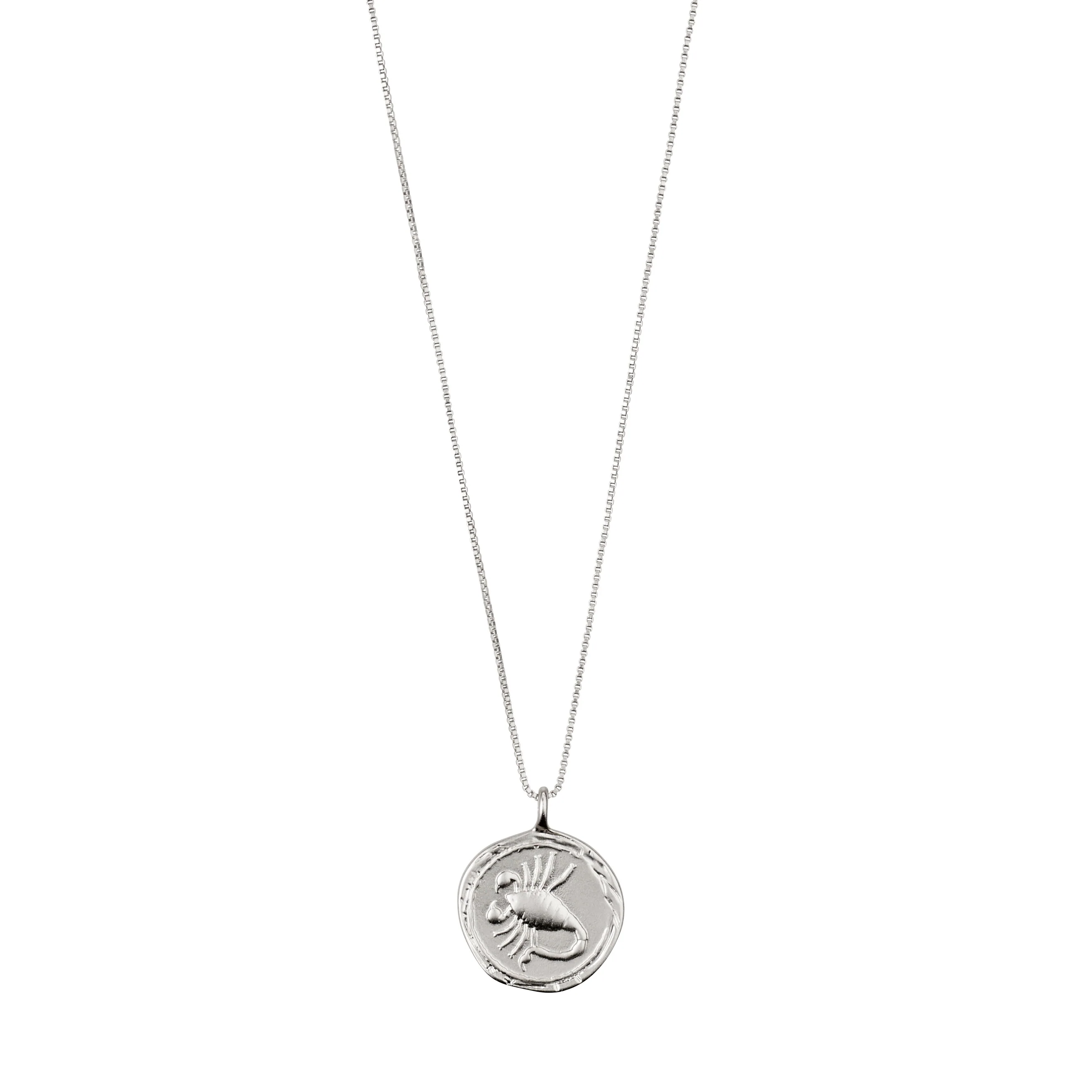 SCORPIO Zodiac Sign Coin Necklace, silver-plated