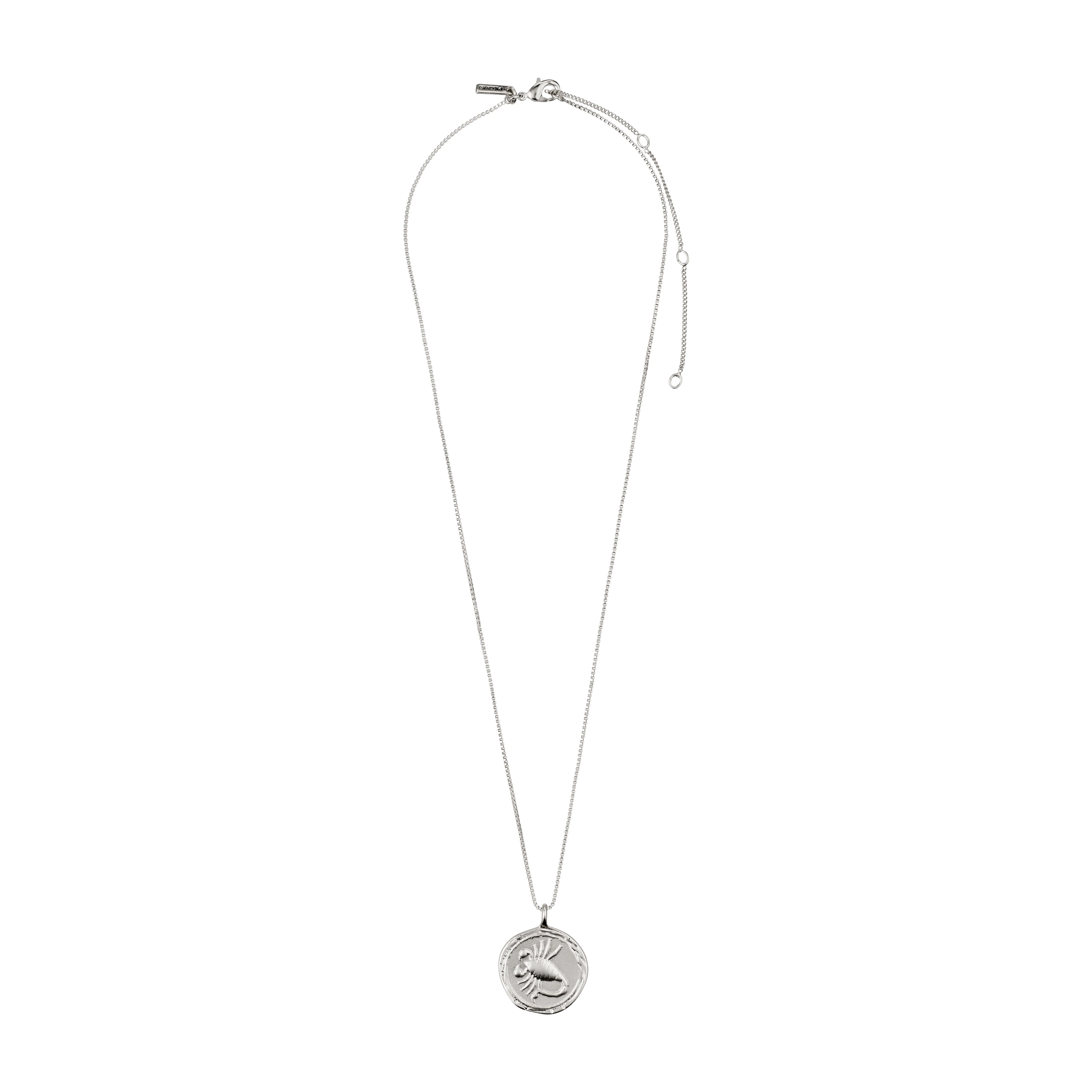 SCORPIO Zodiac Sign Coin Necklace, silver-plated - Image 5
