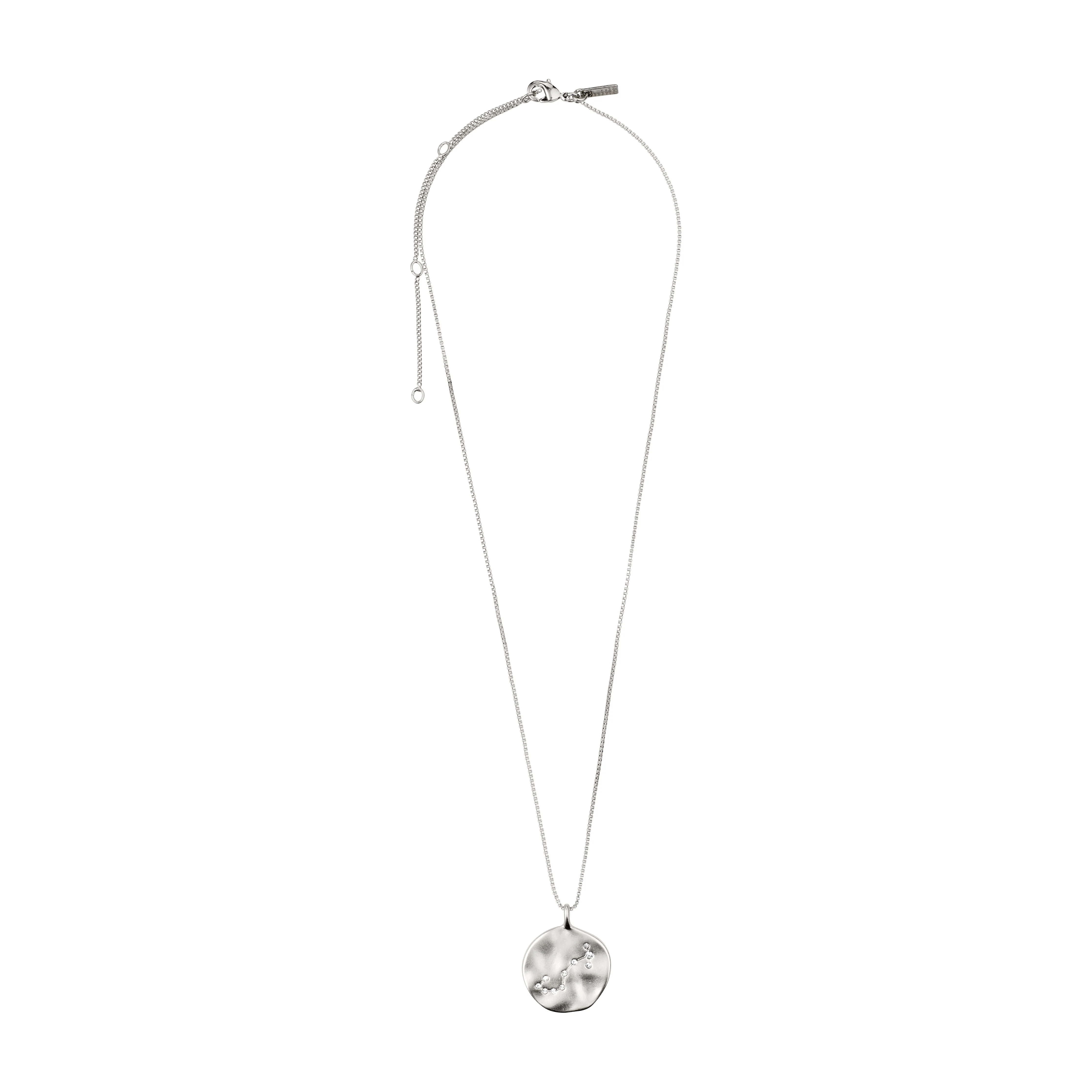 SCORPIO Zodiac Sign Coin Necklace, silver-plated - Image 6