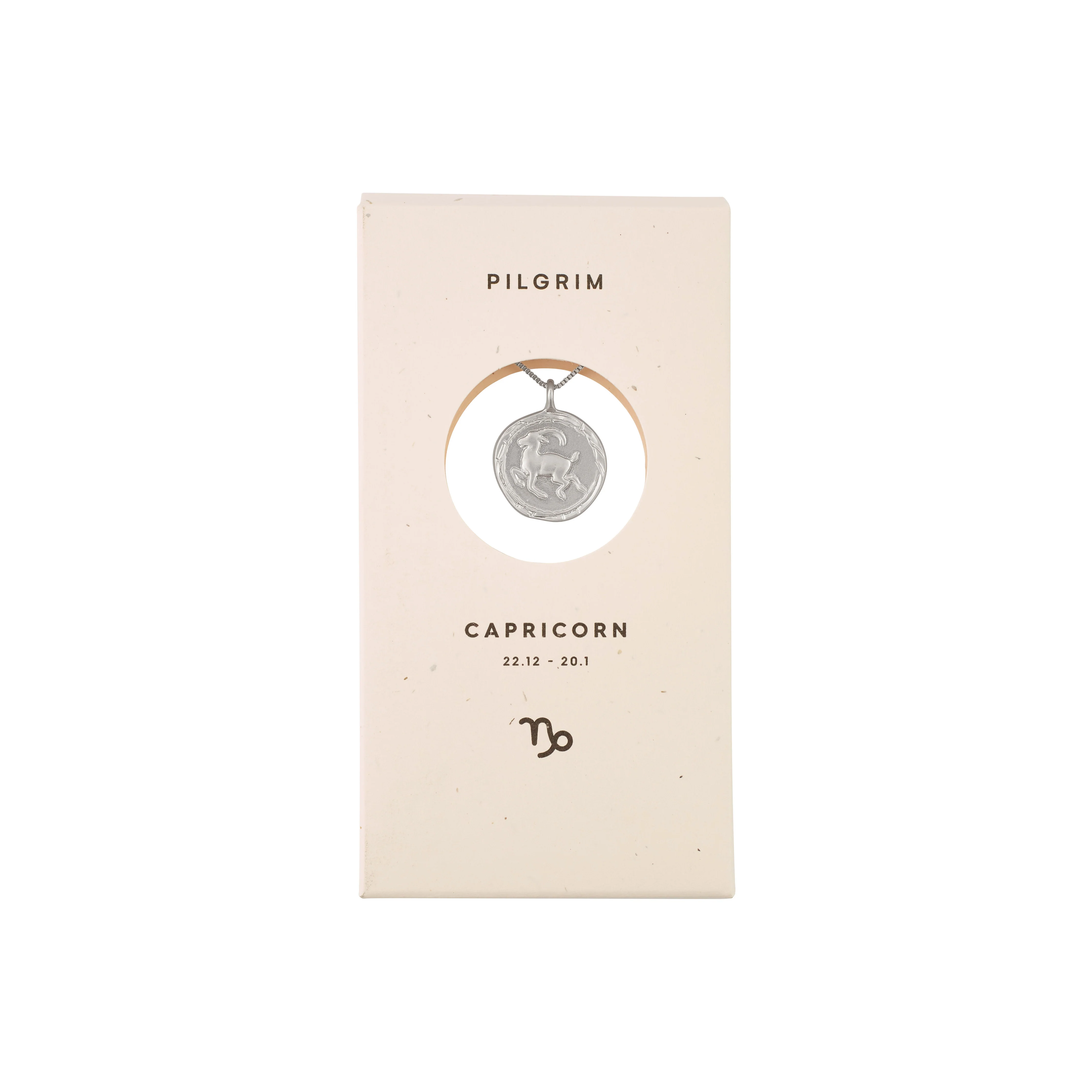 CAPRICORNUS recycl. Zodiac Sign Coin Necklace, silver-plated - Image 7
