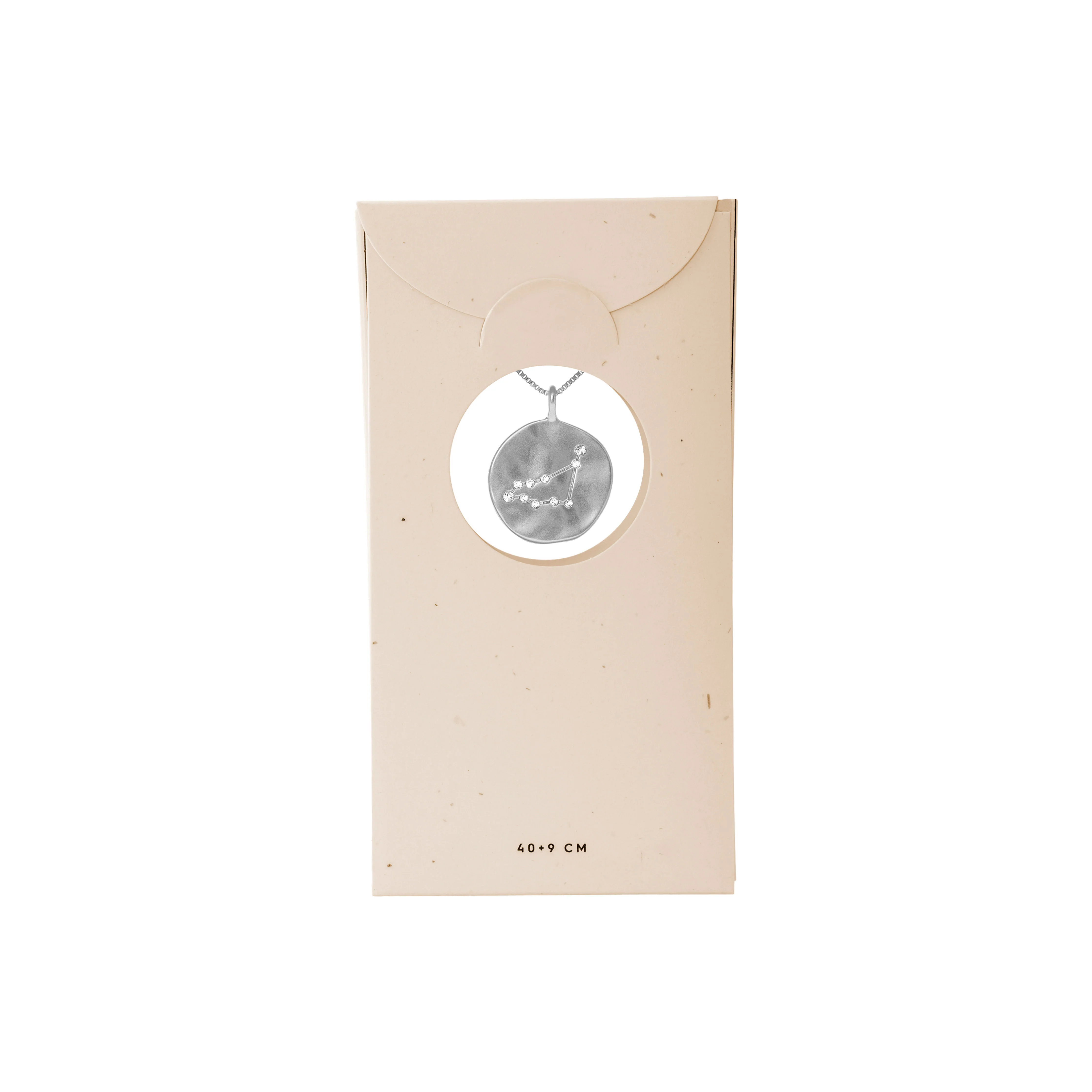 CAPRICORNUS recycl. Zodiac Sign Coin Necklace, silver-plated - Image 8