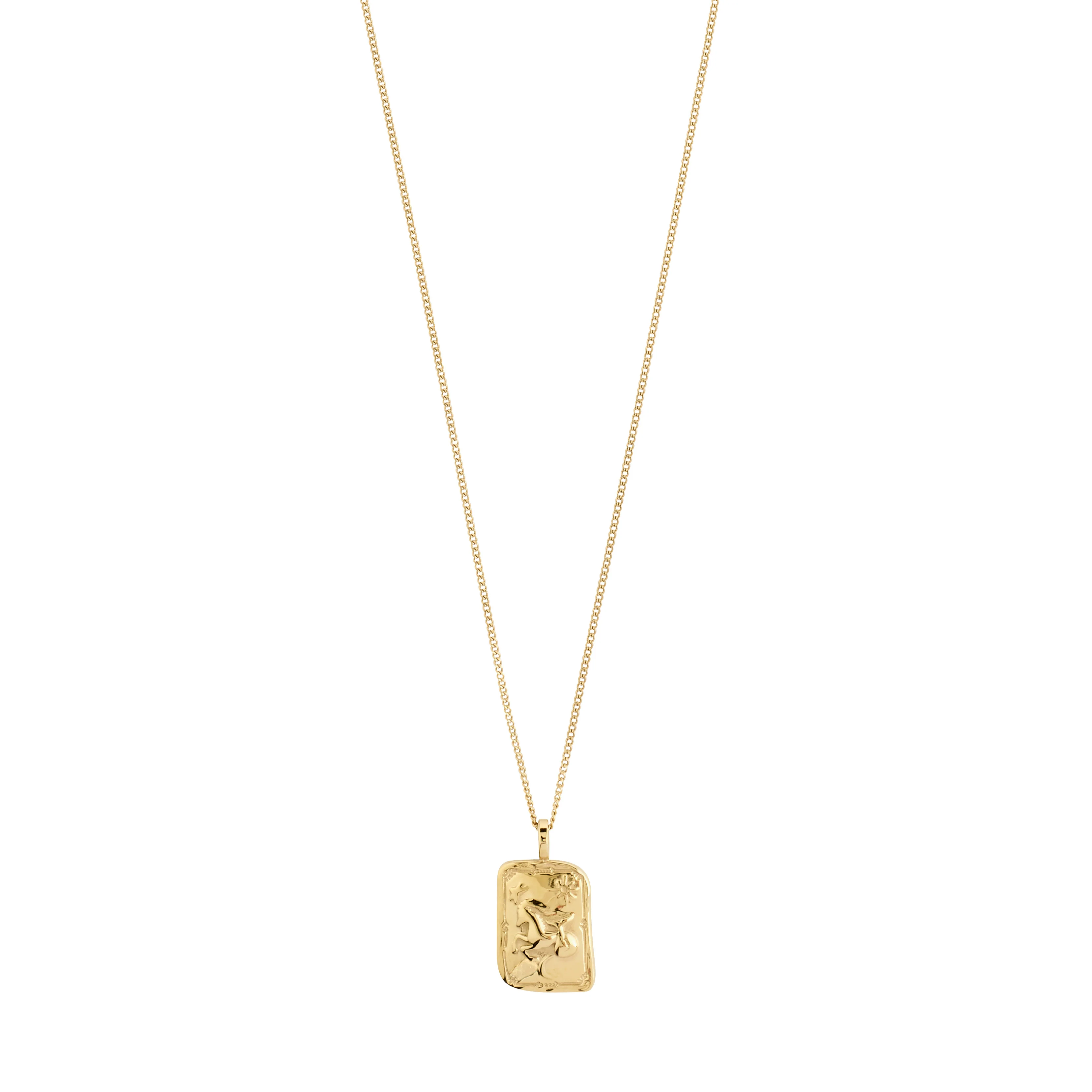 CAPRICORNUS Zodiac Sign necklace, gold-plated