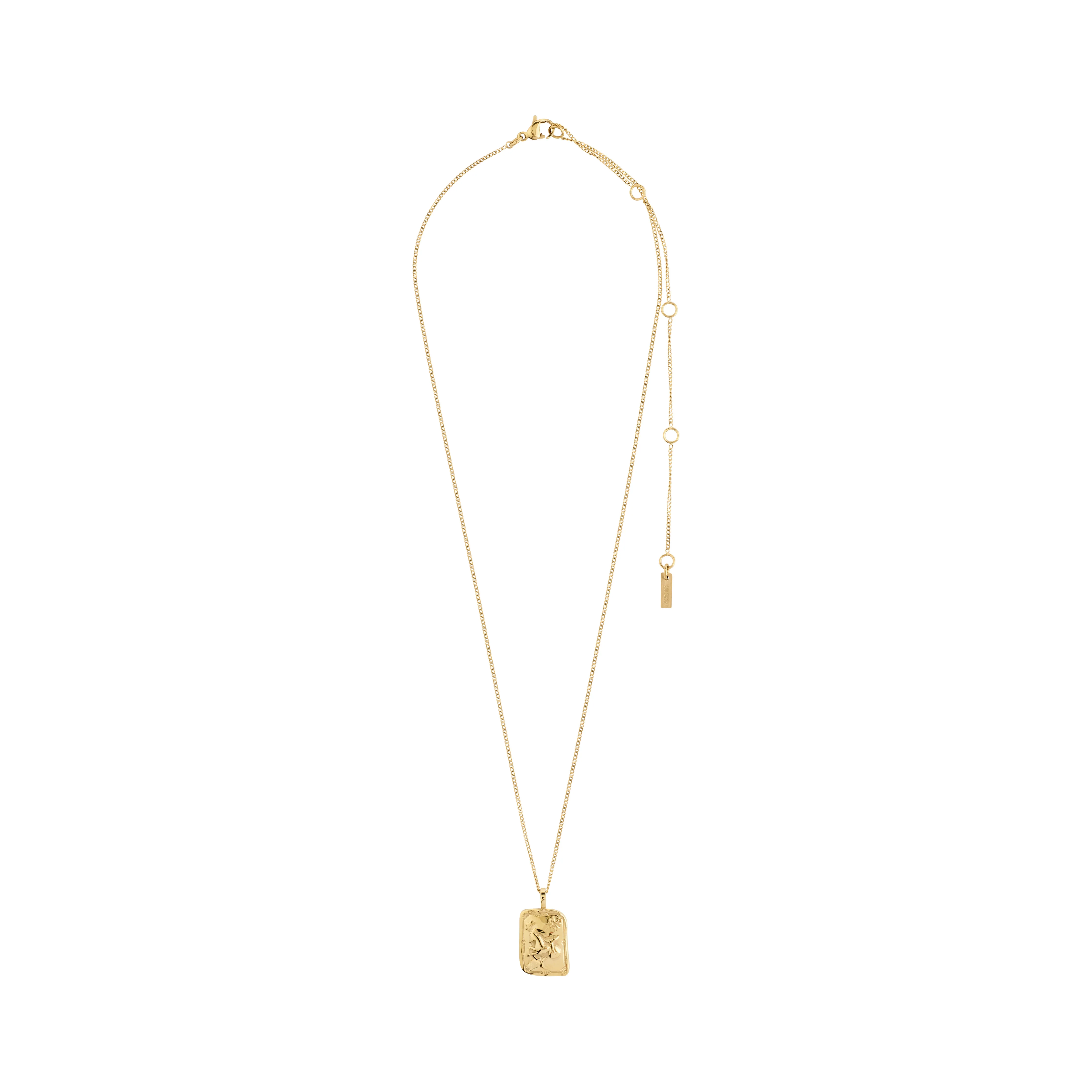 CAPRICORNUS Zodiac Sign necklace, gold-plated - Image 4