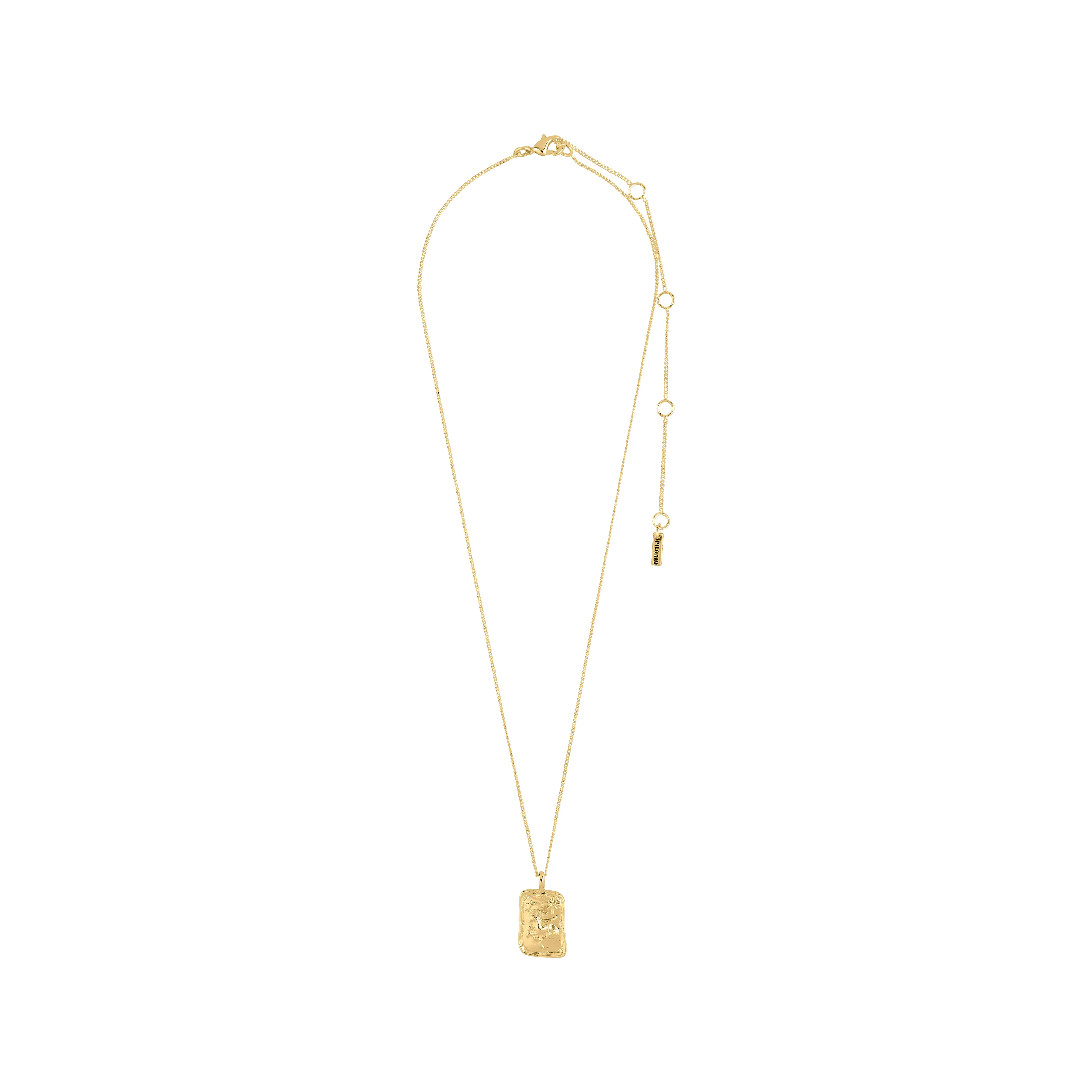 CAPRICORNUS Zodiac Sign necklace, gold-plated - Image 5