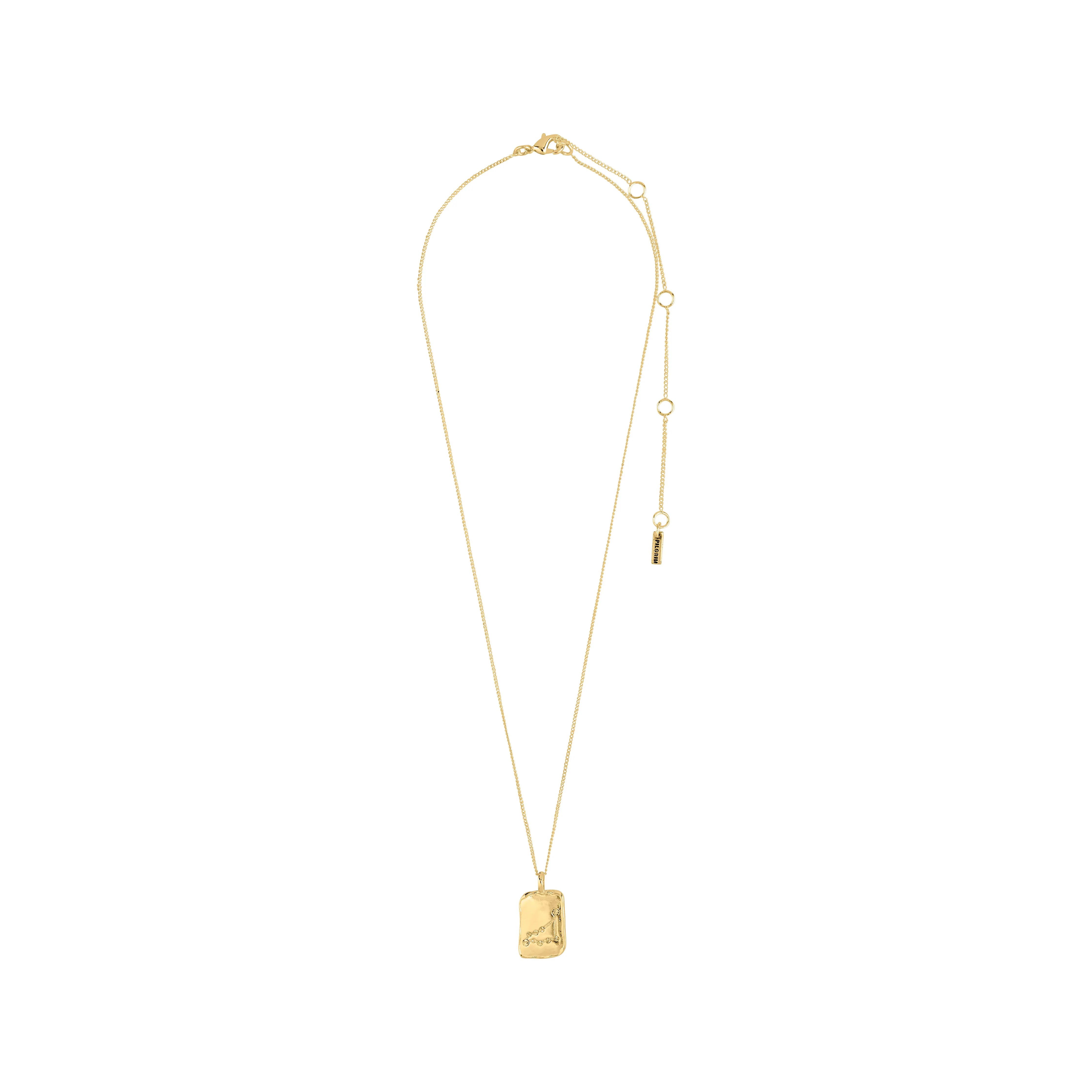 CAPRICORNUS Zodiac Sign necklace, gold-plated - Image 6