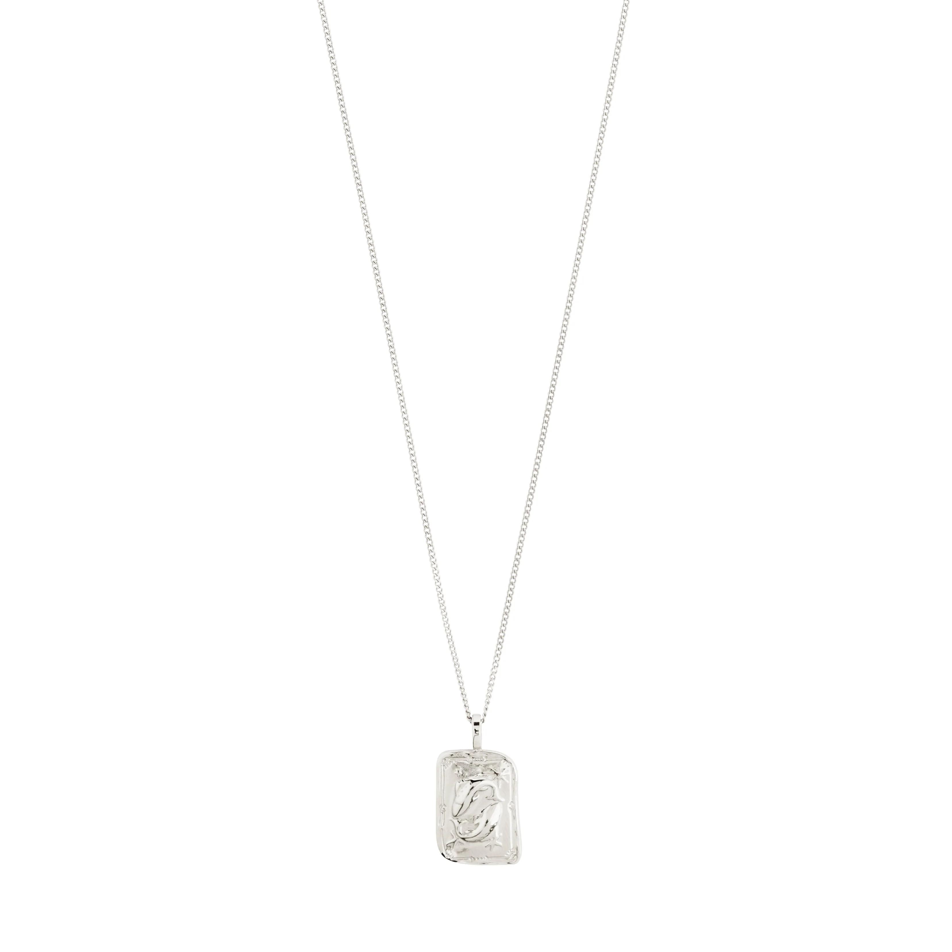PISCES Zodiac Sign necklace, silver-plated