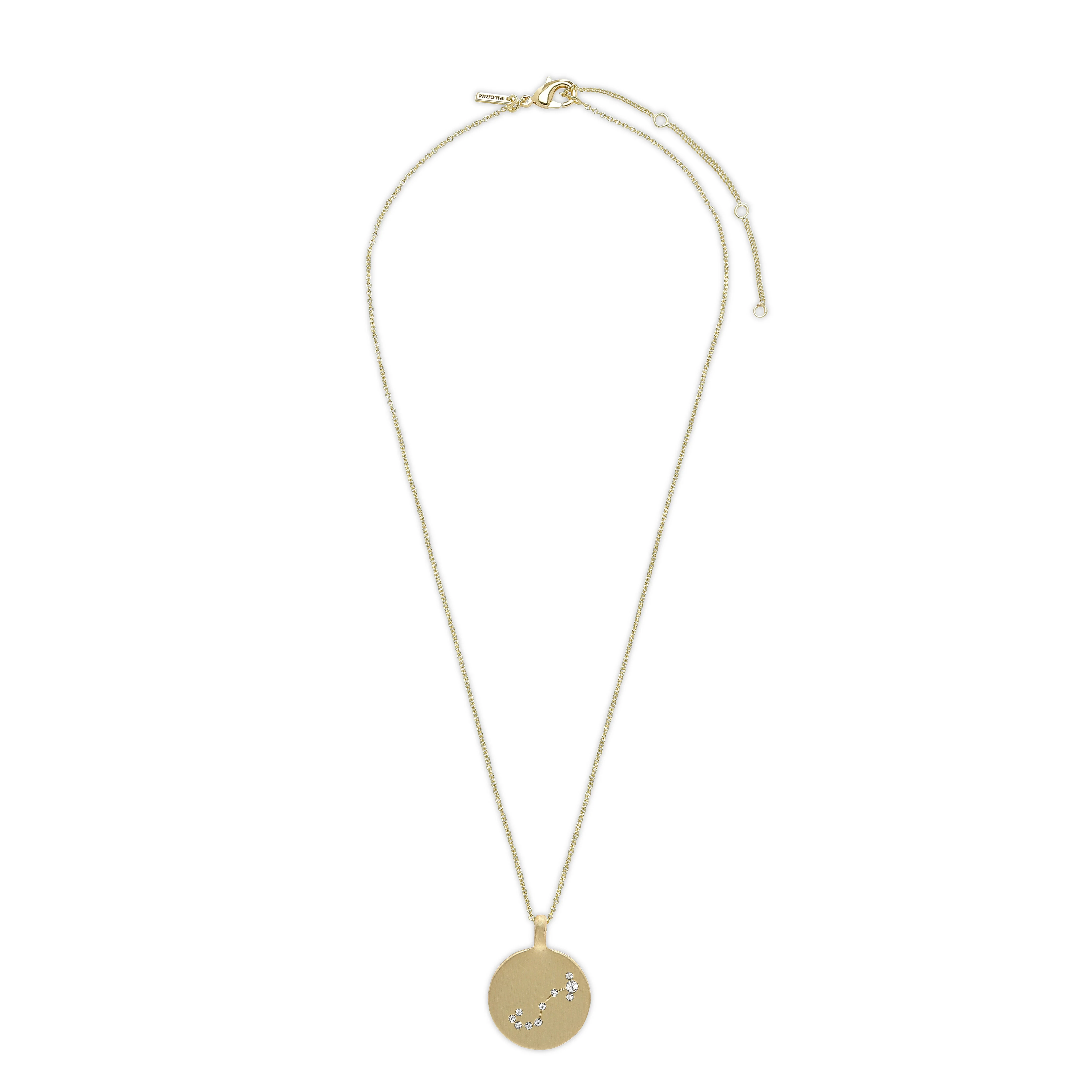 SCORPIO Zodiac Sign Coin Necklace, gold-plated - Image 8