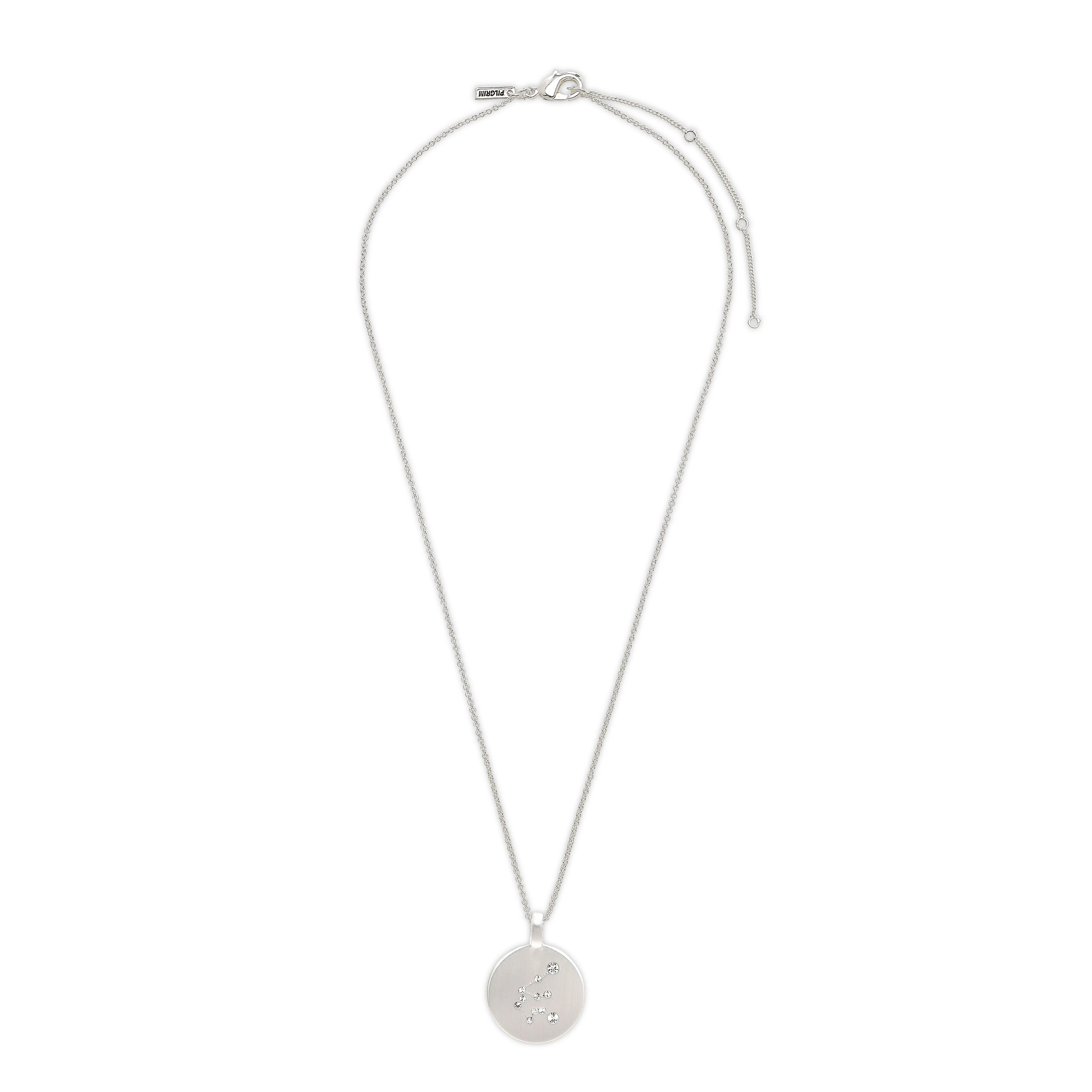 AQUARIUS Zodiac Sign Coin Necklace, silver-plated - Image 6