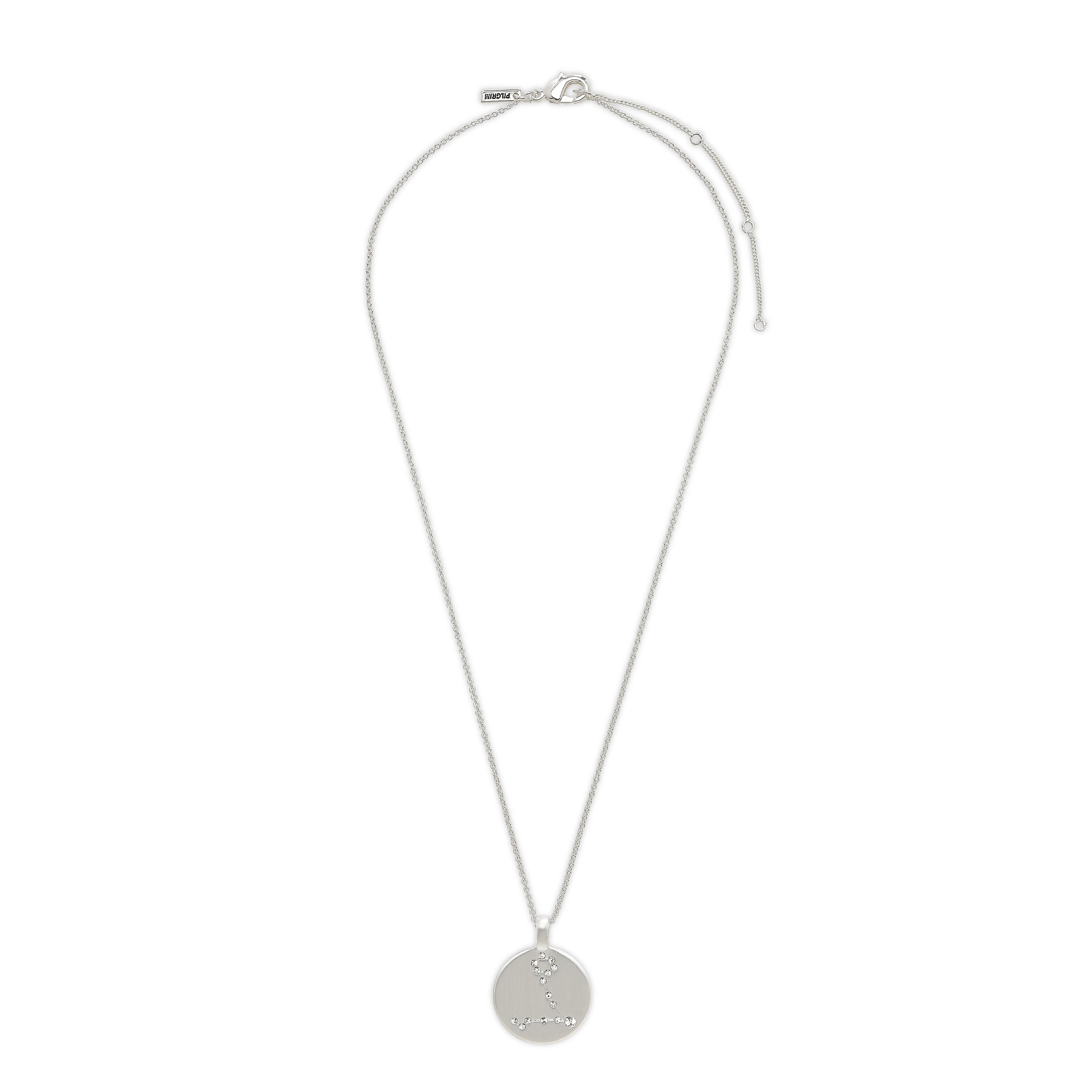 PISCES Zodiac Sign Coin Necklace, silver-plated - Image 6