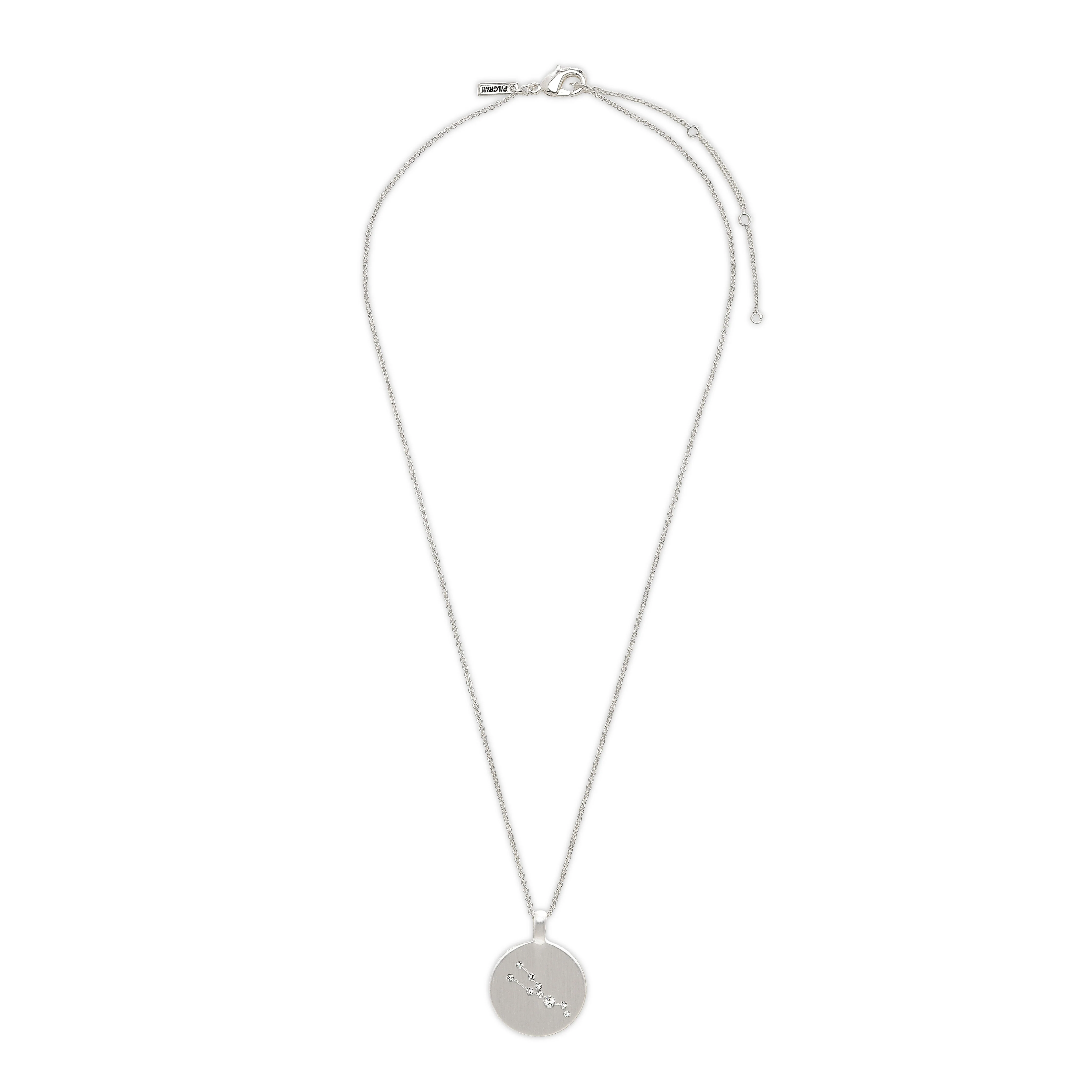TAURUS Zodiac Sign Coin Necklace, silver-plated - Image 6