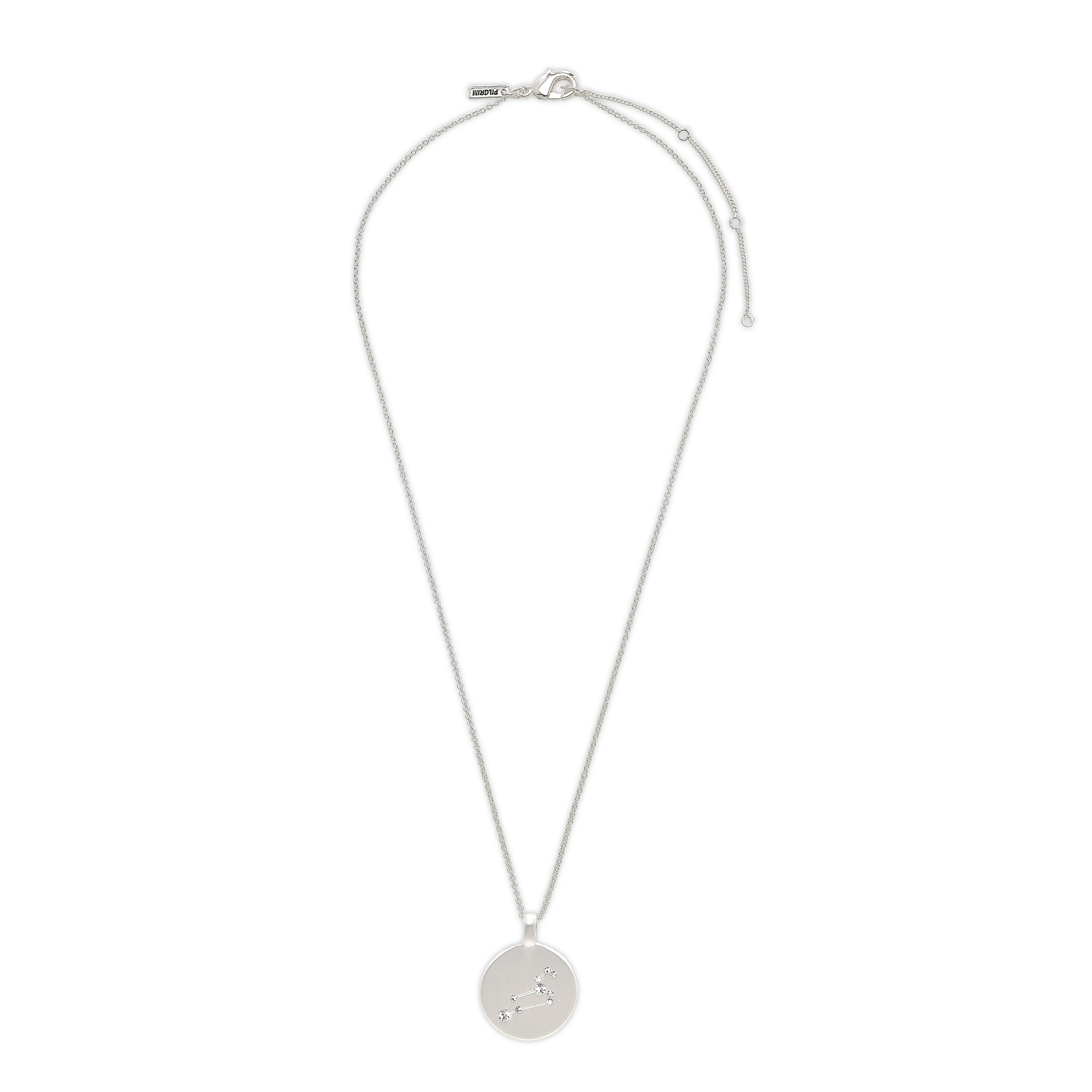 LEO Zodiac Sign Coin Necklace, silver-plated - Image 7