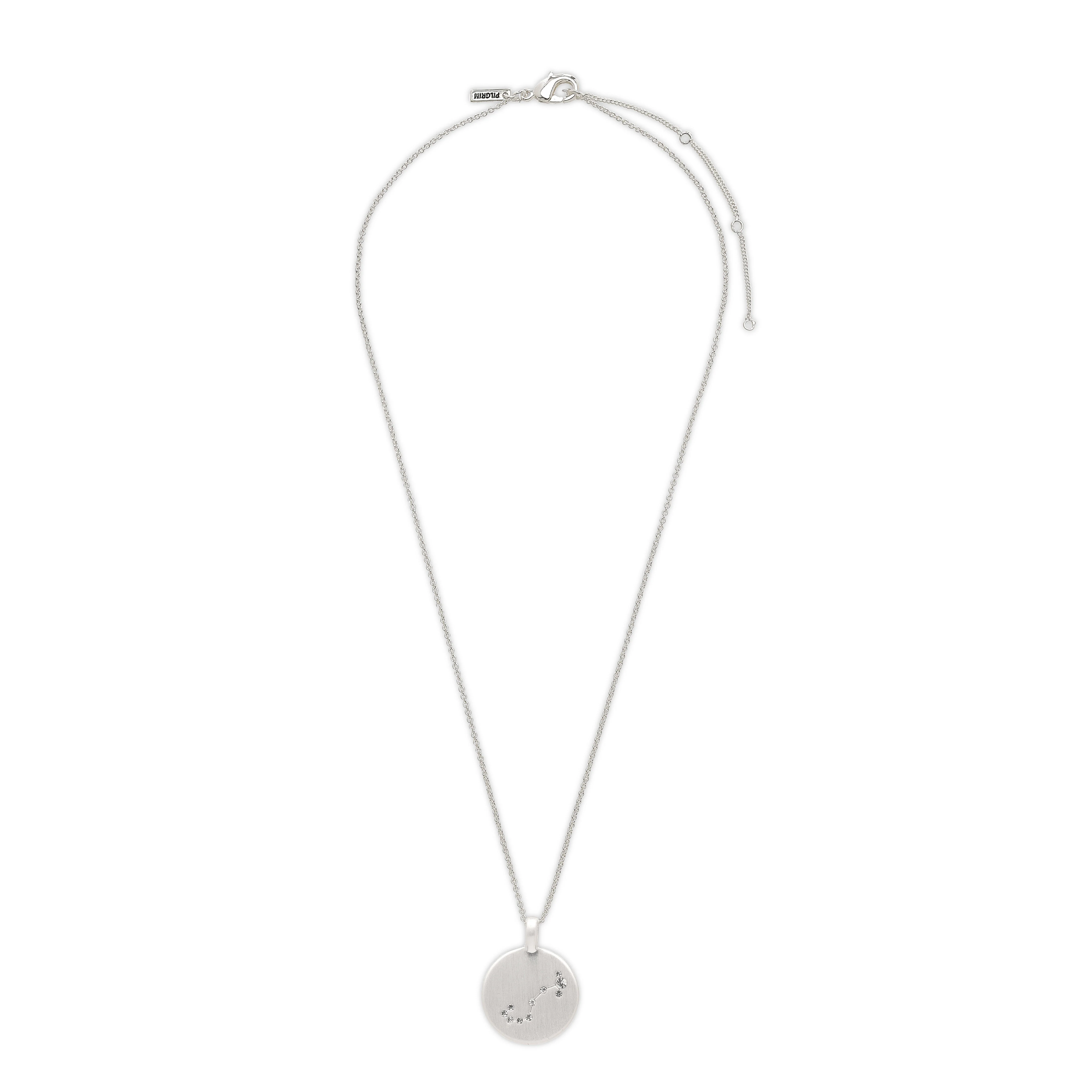 SCORPIO Zodiac Sign Coin Necklace, silver-plated - Image 6