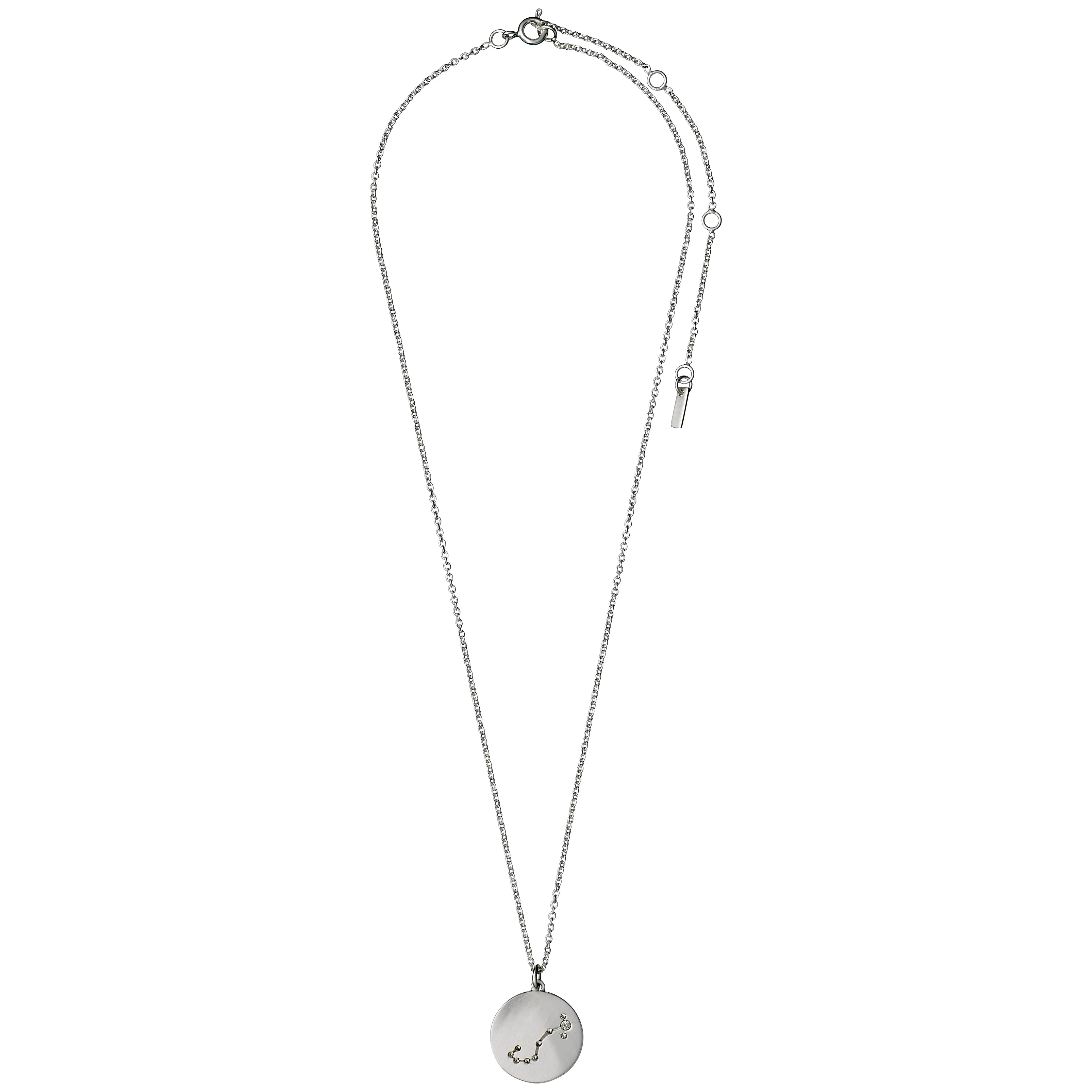 SCORPIO Zodiac Sign Coin Necklace, silver-plated - Image 7