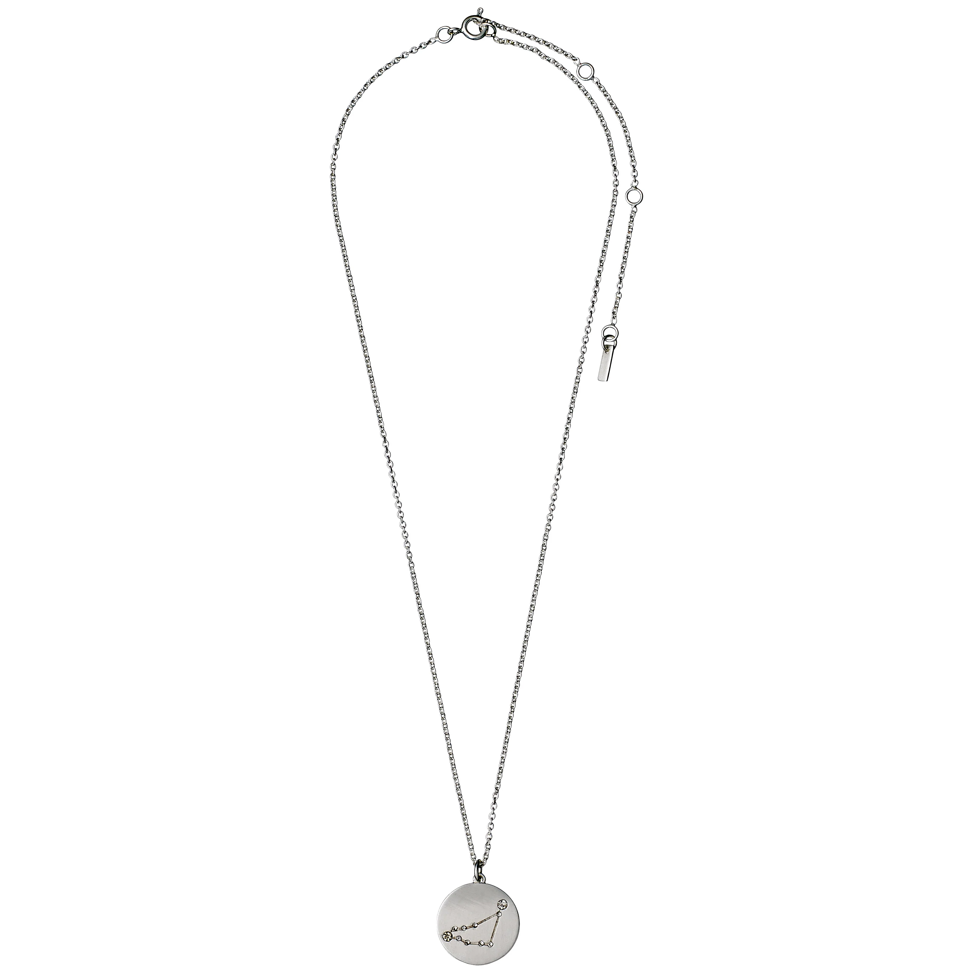 CAPRICORNUS Zodiac Sign Coin Necklace, silver-plated - Image 7