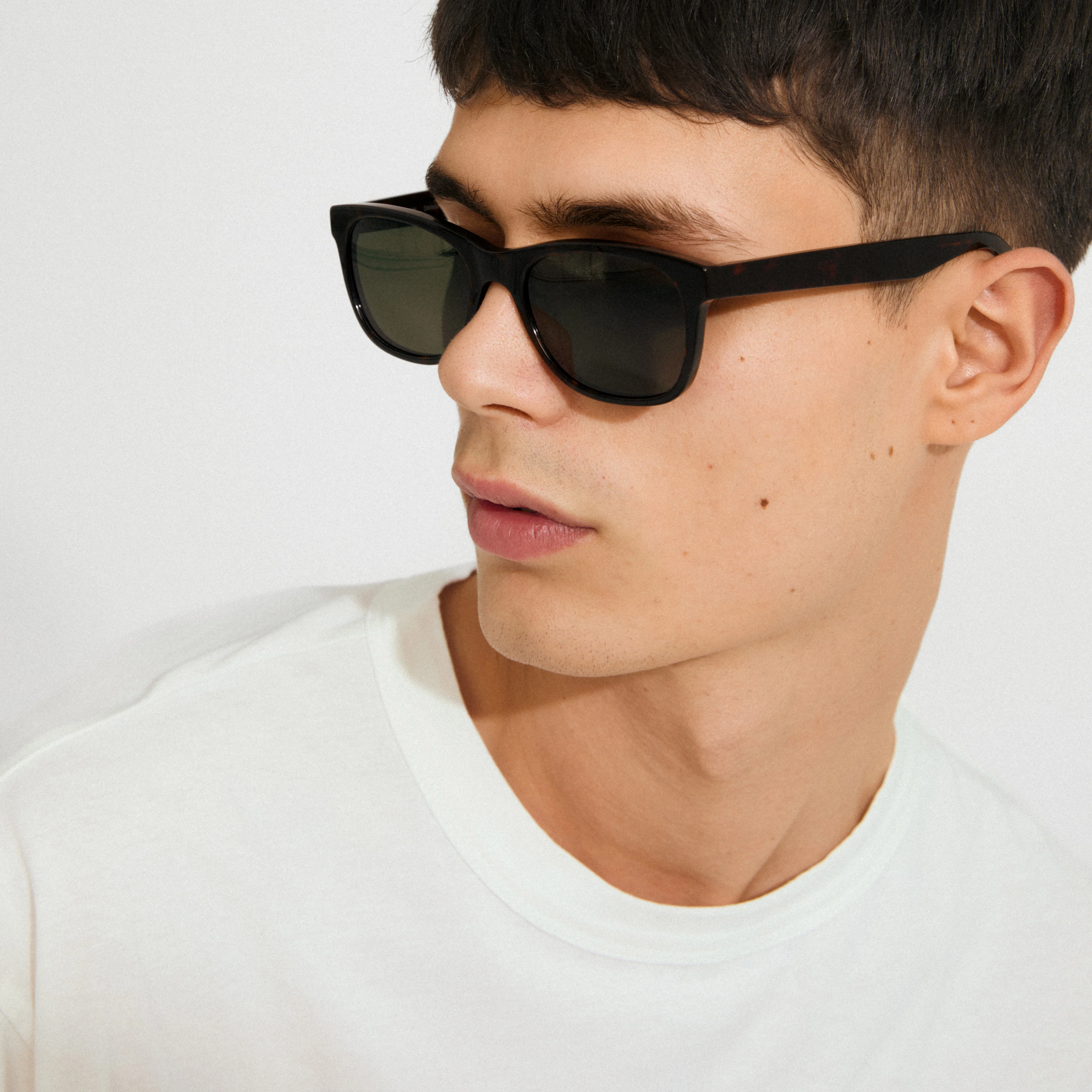 CORBYN sunglasses brown - Image 4