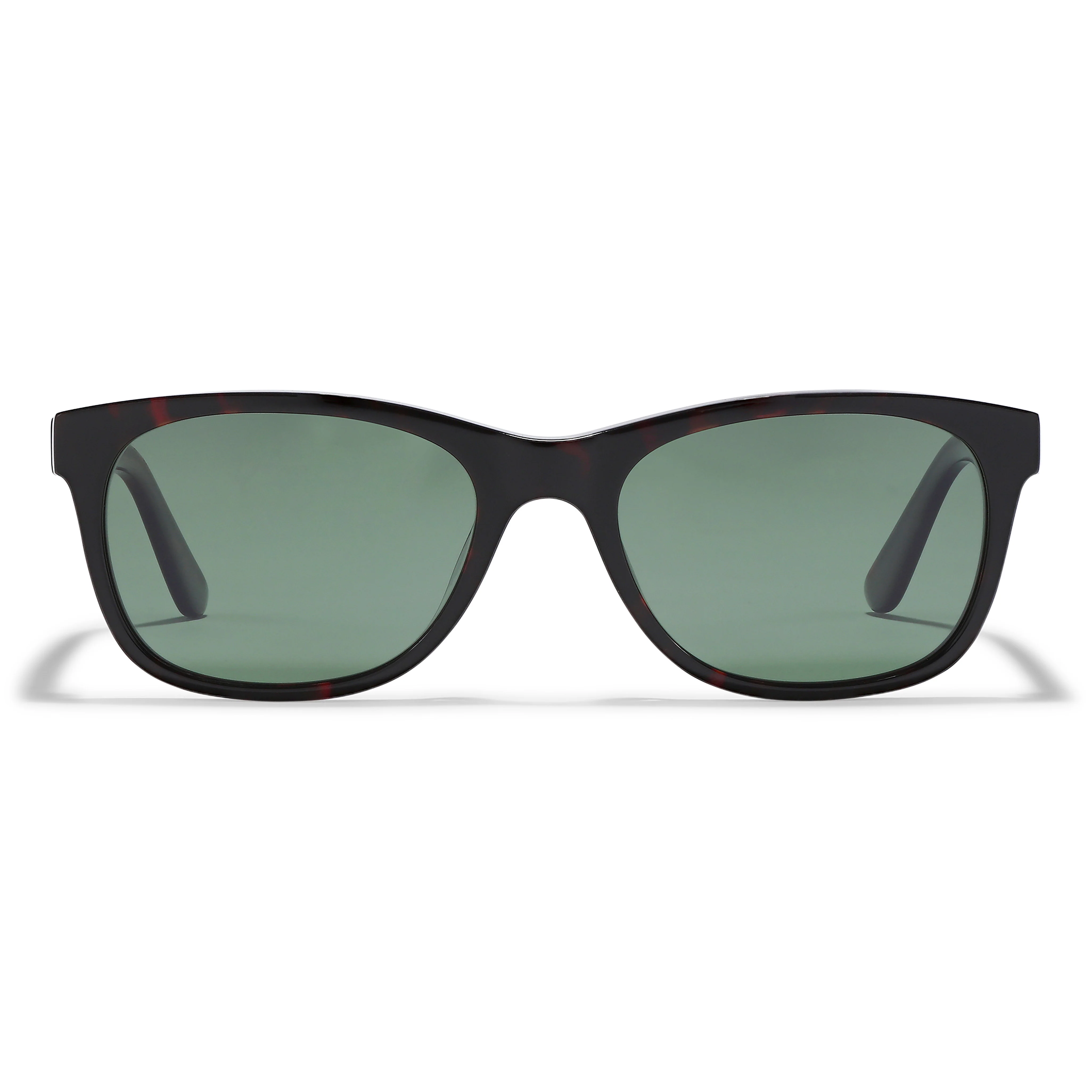 CORBYN sunglasses brown - Image 6